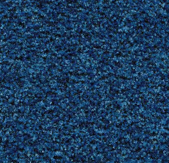 CORAL BRUSH 5722 CORNFLOWER BLUE